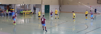 Futsal Hallenmeisterschaft
